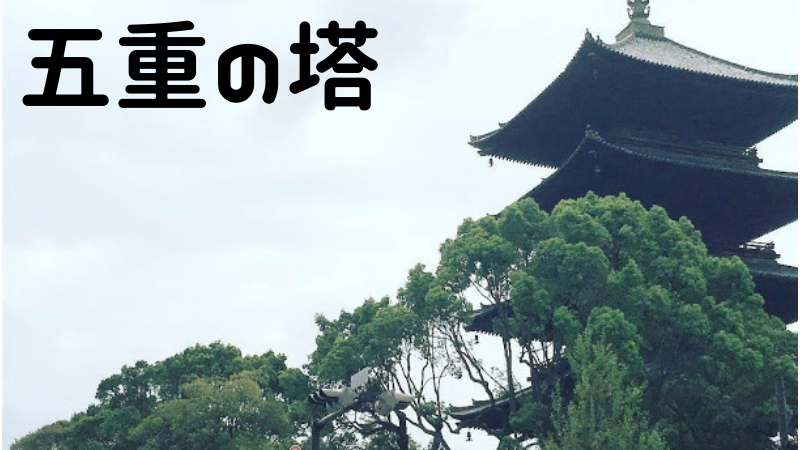 はじめての京都旅行で行って楽しかった観光スポットを紹介！
