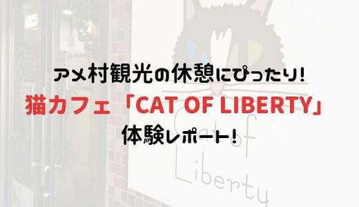 アメ村観光の休憩にぴったり！猫カフェ「CAT OF LIBERTY」体験レポート！