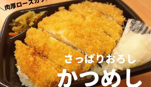 さっぱりおろしかつめし