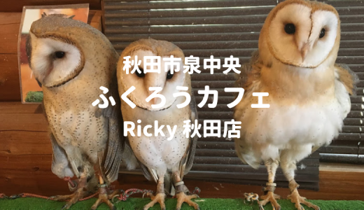 【秋田市】ふくろうカフェ「Ricky」は動物好きにオススメ！体験レポート